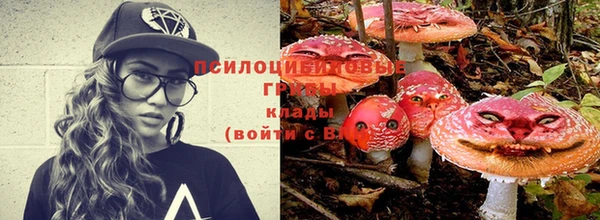 мескалин Арсеньев