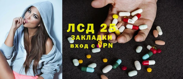 ГАЛЛЮЦИНОГЕННЫЕ ГРИБЫ Аркадак
