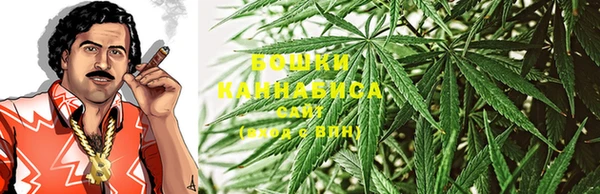 ГАЛЛЮЦИНОГЕННЫЕ ГРИБЫ Аркадак
