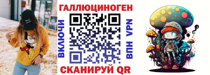 магазин продажи   Саров  Галлюциногенные грибы Psilocybine cubensis 