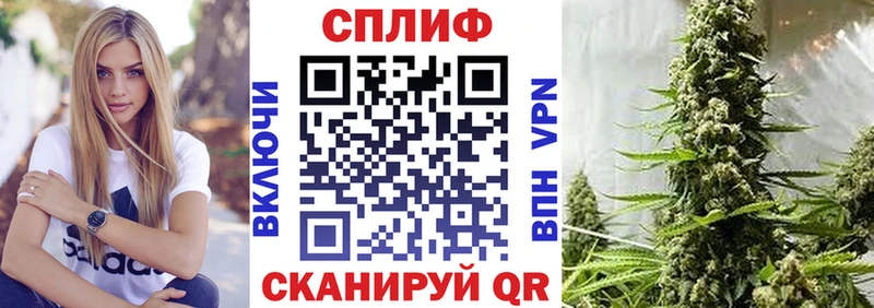 Бошки марихуана конопля  Саров 